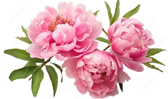 <span>L’art floral</span><span>au service de vos</span><span class="couleur">moments précieux</span>